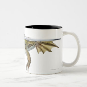 Shot of a Eetble frog surface voor a Tweekleurige Koffiemok