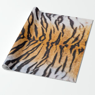 Shot of Real Indo-Chinese Tiger (Panthera) Cadeaupapier