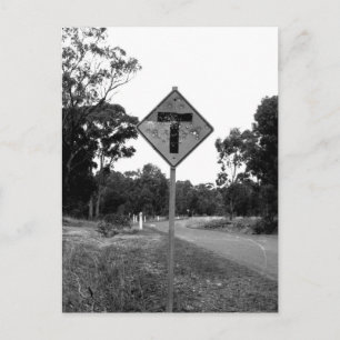 Shot T’ Pineerts roadside Briefkaart