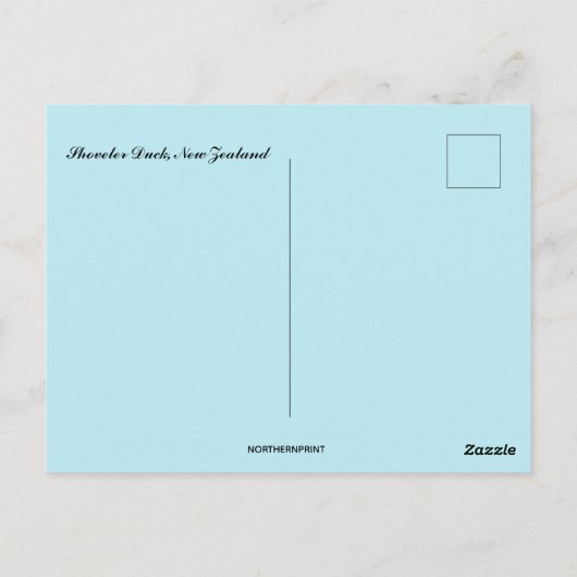 Shoveler Duck Nieuw-Zeeland Briefkaart (Achterkant)