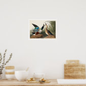 Shoveler Duck par Audubon Poster (Cuisine)