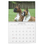show Boxer-agenda 2013 Kalender (Jan 2027)