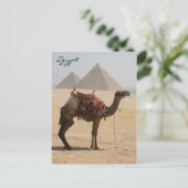 show camel briefkaart (Staand voorkant)