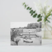 Show Florida Alligator, 1904 Briefkaart (Staand voorkant)