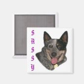 Show je trots magneet (Voorkant / Achterkant)