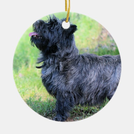 Show meisje keramisch ornament (Voorkant)