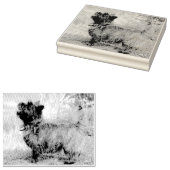 Show meisje rubberstempel (Gestempeld)