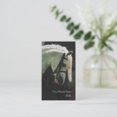 Show pony visitekaartje (Staand voorkant)