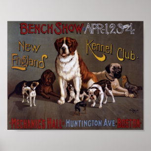 Show Poster