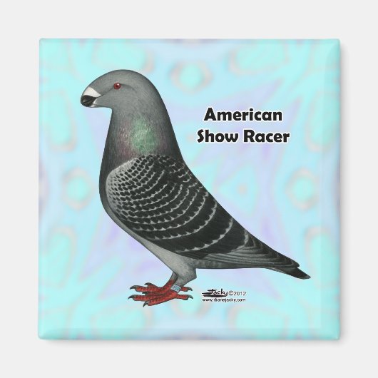 Show Racer ASR Magneet (Voorkant)
