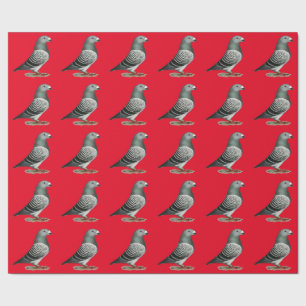 Show Racer Blue Checker Pigeon Cadeaupapier