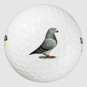 Show Racer Blue Checker Pigeon Golfballen