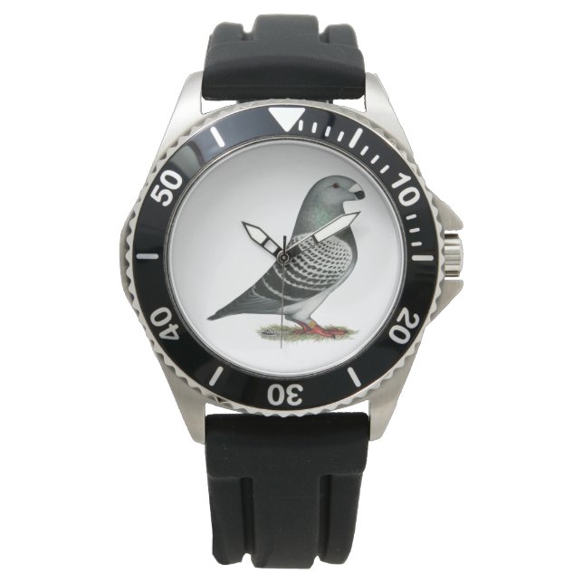Show Racer Blue Checker Pigeon Horloge (Voorkant)