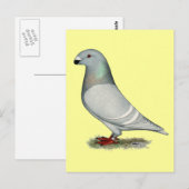 Show Racer Concept Hen Briefkaart (Voorkant / Achterkant)