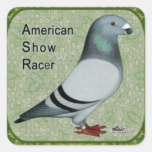 Show Racer Vierkante Sticker