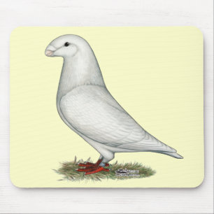 Show Racer White Muismat