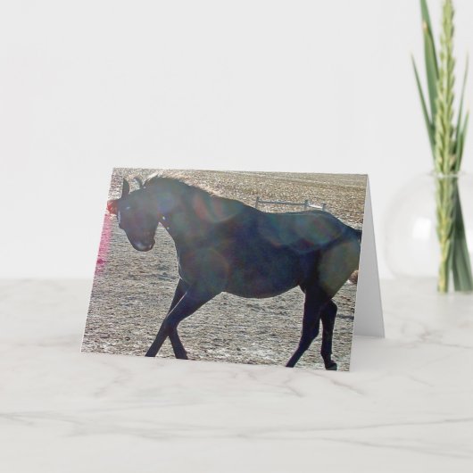 Show uit kaart (Voorkant)