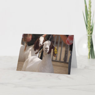 Show van een bokgeit kaart