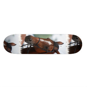 Show van paardenpaarden skateboard