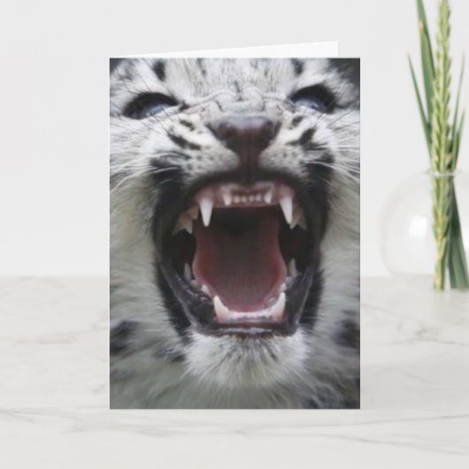 show your teeth kaart (Voorkant)