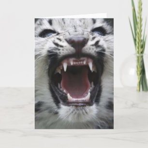 show your teeth kaart