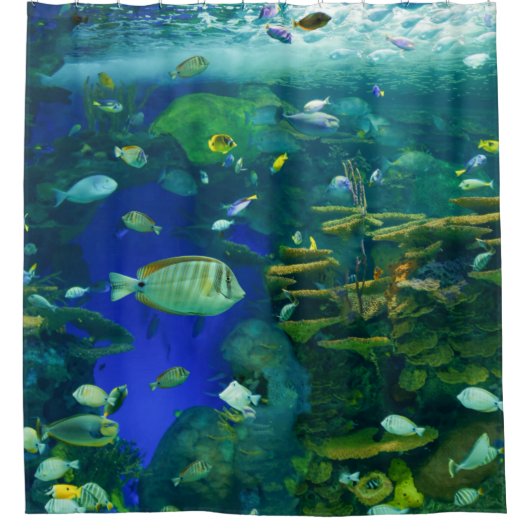 Shower Curtain Douchegordijn (Voorkant)