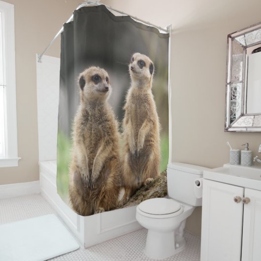 Shower Curtain Meerkat Douchegordijn (In situ)