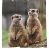 Shower Curtain Meerkat Douchegordijn (Voorkant)