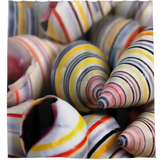 Shower Curtain Stripe Shells Douchegordijn (Voorkant)
