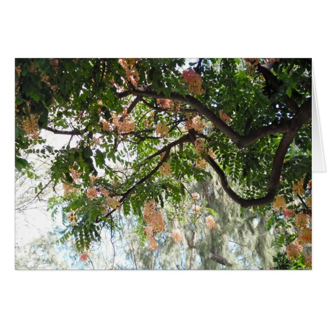 Shower Tree (Voorkant Horizontaal)