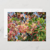 Shower Tree Blossom Briefkaart (Voorkant / Achterkant)