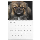 SHOWS KALENDER (Mar 2027)