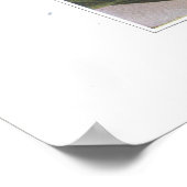 Showy Lady's-Slipper - Cypripedium reginae Poster (Hoek)