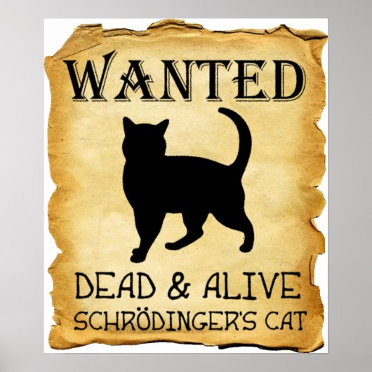 Shrodinger's Cat Funny Poster (Voorkant)