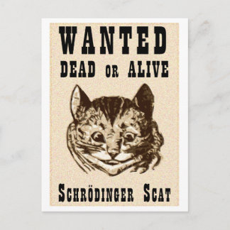 Shrodinger's cat gezocht poster briefkaart