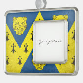 Shropshire Verzilverd Kader Ornament (Links)