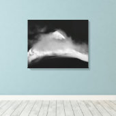 Shrouded Baird Peak Canvas Afdruk (Insitu (Houten vloer))