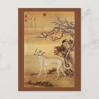 Shuanghuayao~霜 鹞 ~ Greyhound ~Giuseppe Castiglione Briefkaart