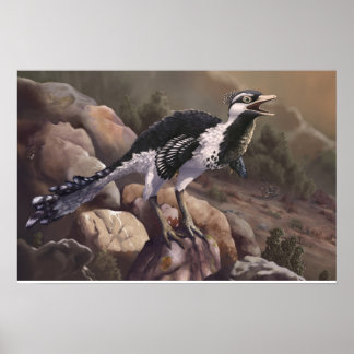 Shuvuuia Print