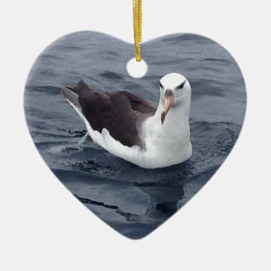 Shy Albatross Keramisch Ornament (Voorkant)