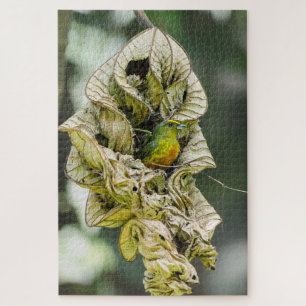Shy Bird, Olive Euphonia Legpuzzel