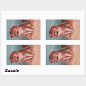 Shy Brown Long Haired Cat Afbeelding beroemd gemaa Rechthoekige Sticker (Vel)