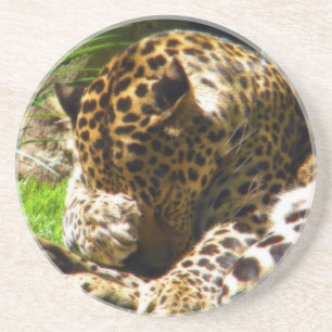 Shy Leopard Zandsteen Onderzetter