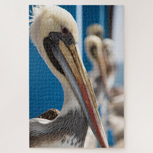 Shy pelican op het strand legpuzzel (Verticaal)