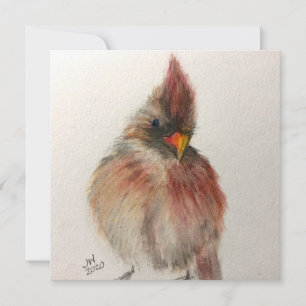 Shy Red Bird Note-kaart Feestdagenkaart