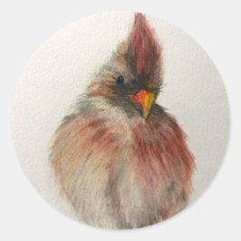 Shy Red Bird Sticker Set Origineel Kunstwerk