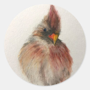 Shy Red Bird Sticker Set Origineel Kunstwerk