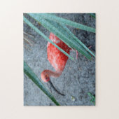 Shy Scarlet Ibis Legpuzzel (Verticaal)