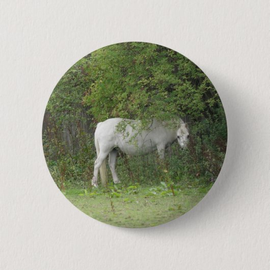 Shy White Horse Button (Voorkant)