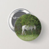 Shy White Horse Button (Voorkant /achterkant)